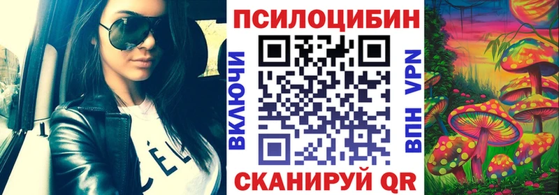 Псилоцибиновые грибы MAGIC MUSHROOMS сколько стоит МЕГА зеркало Магадан